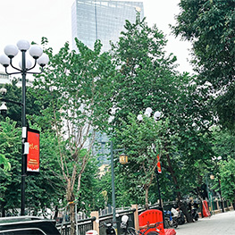 广州十香园智慧路灯项目