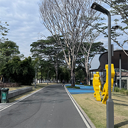 东莞三江六岸