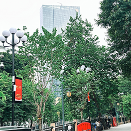 广州书院